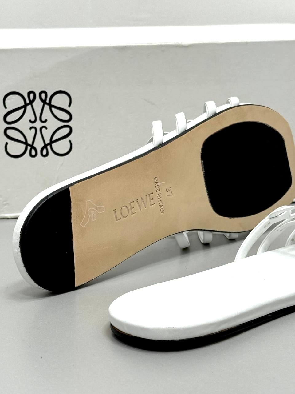 BrandsbyMaya