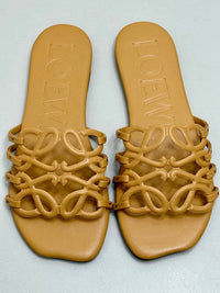 BrandsbyMaya