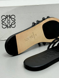 BrandsbyMaya