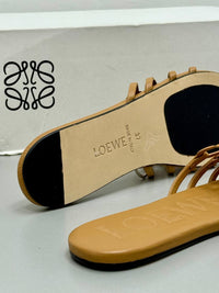BrandsbyMaya
