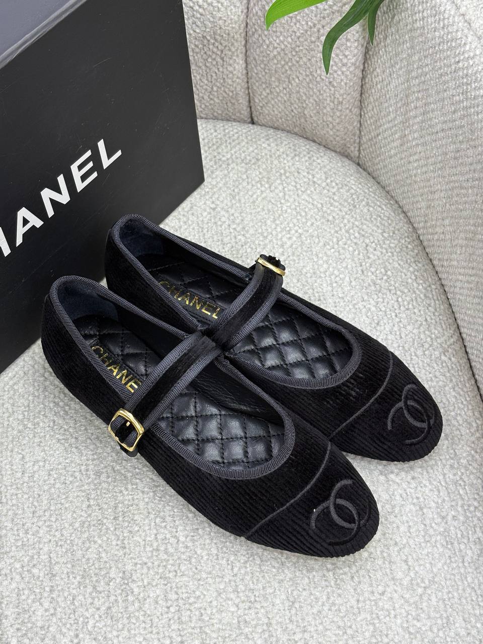 BrandsbyMaya