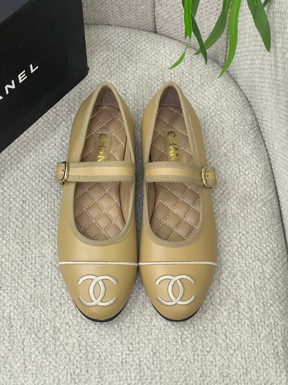 BrandsbyMaya