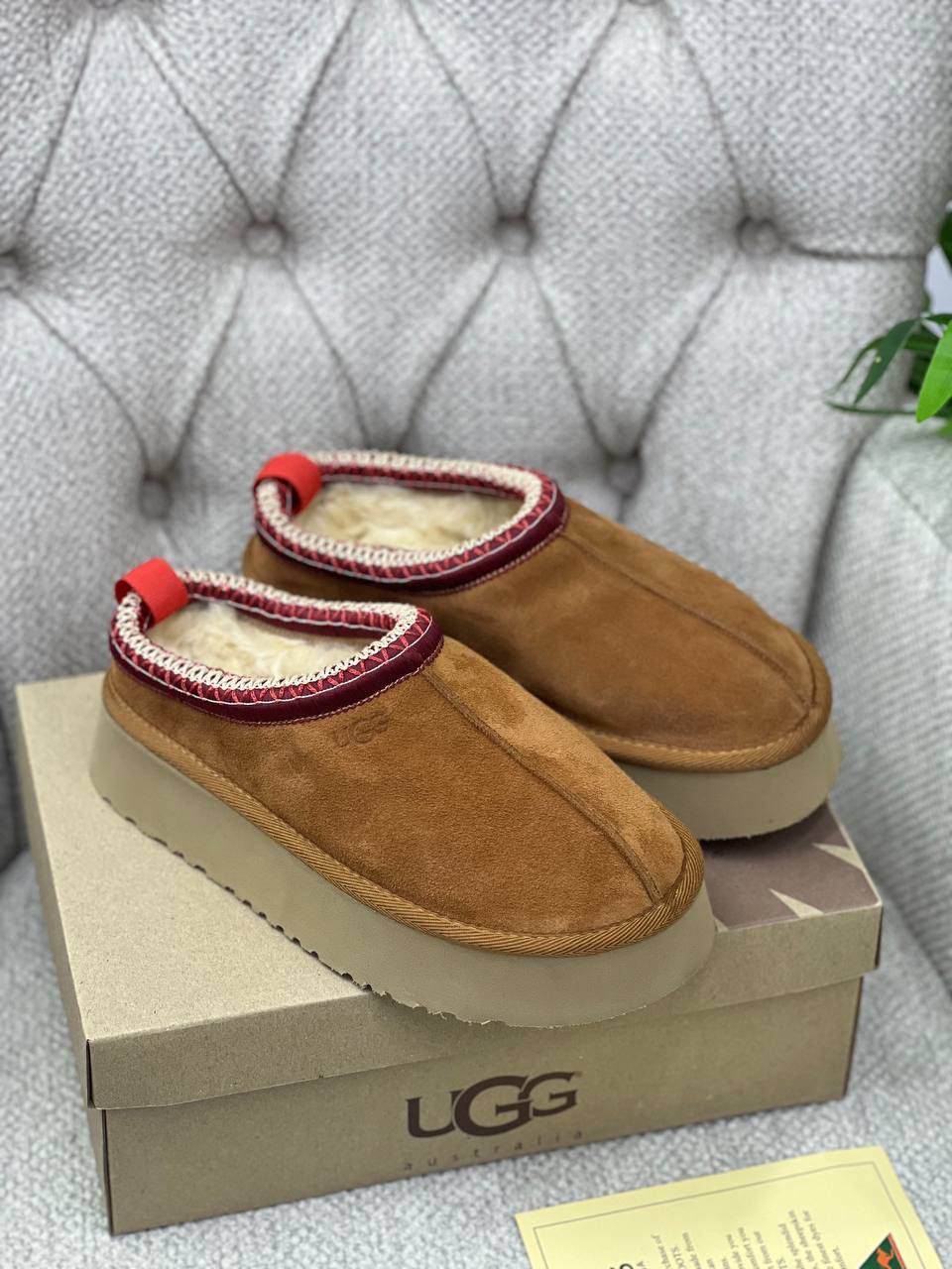 BrandsbyMaya