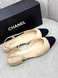 BrandsbyMaya