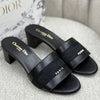 Christian dior slide