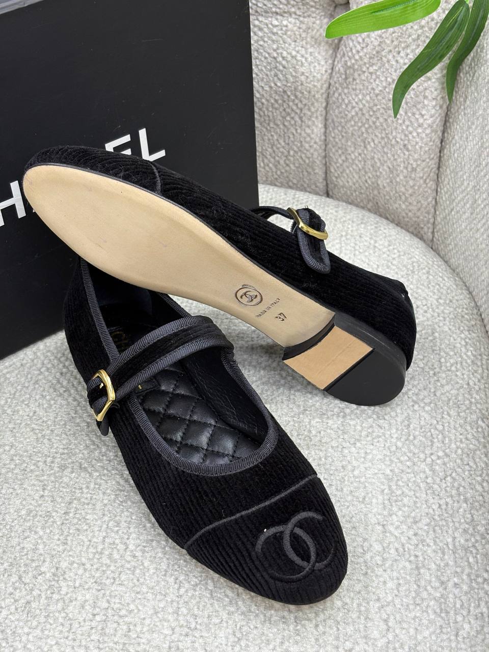 BrandsbyMaya