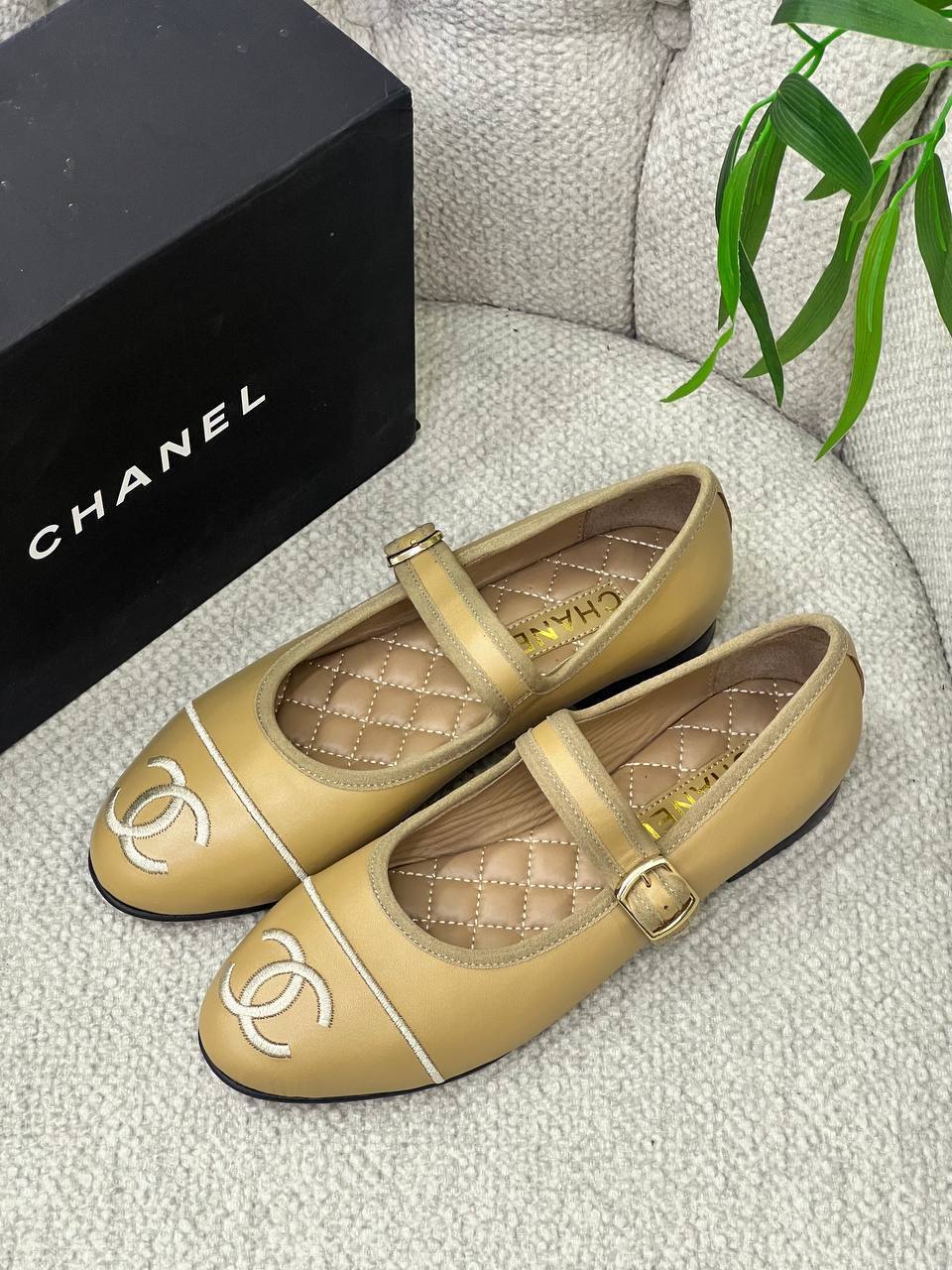 BrandsbyMaya