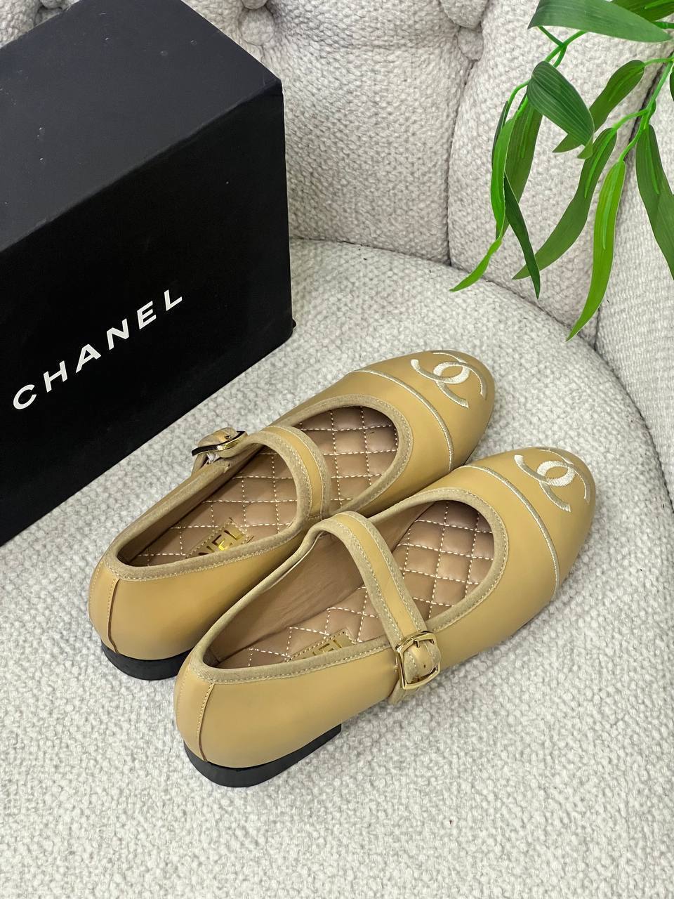 BrandsbyMaya