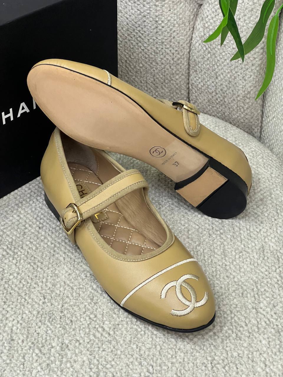 BrandsbyMaya