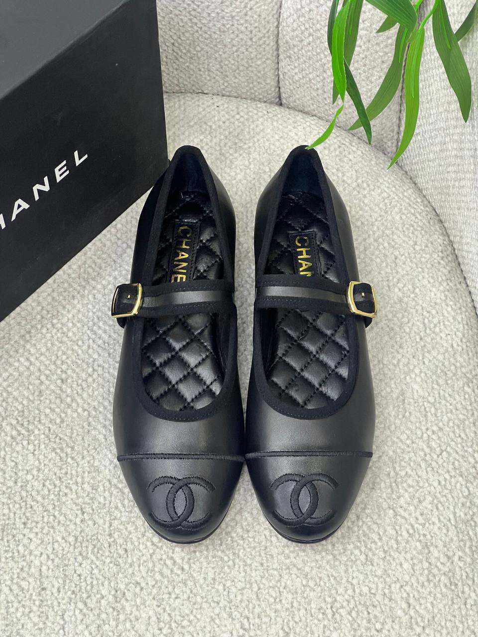 BrandsbyMaya