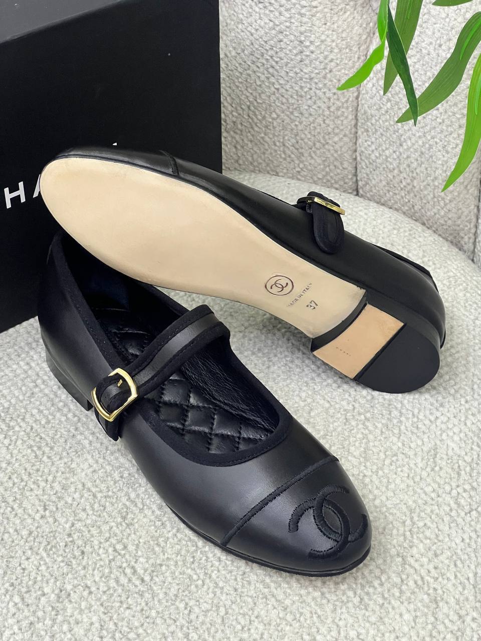 BrandsbyMaya