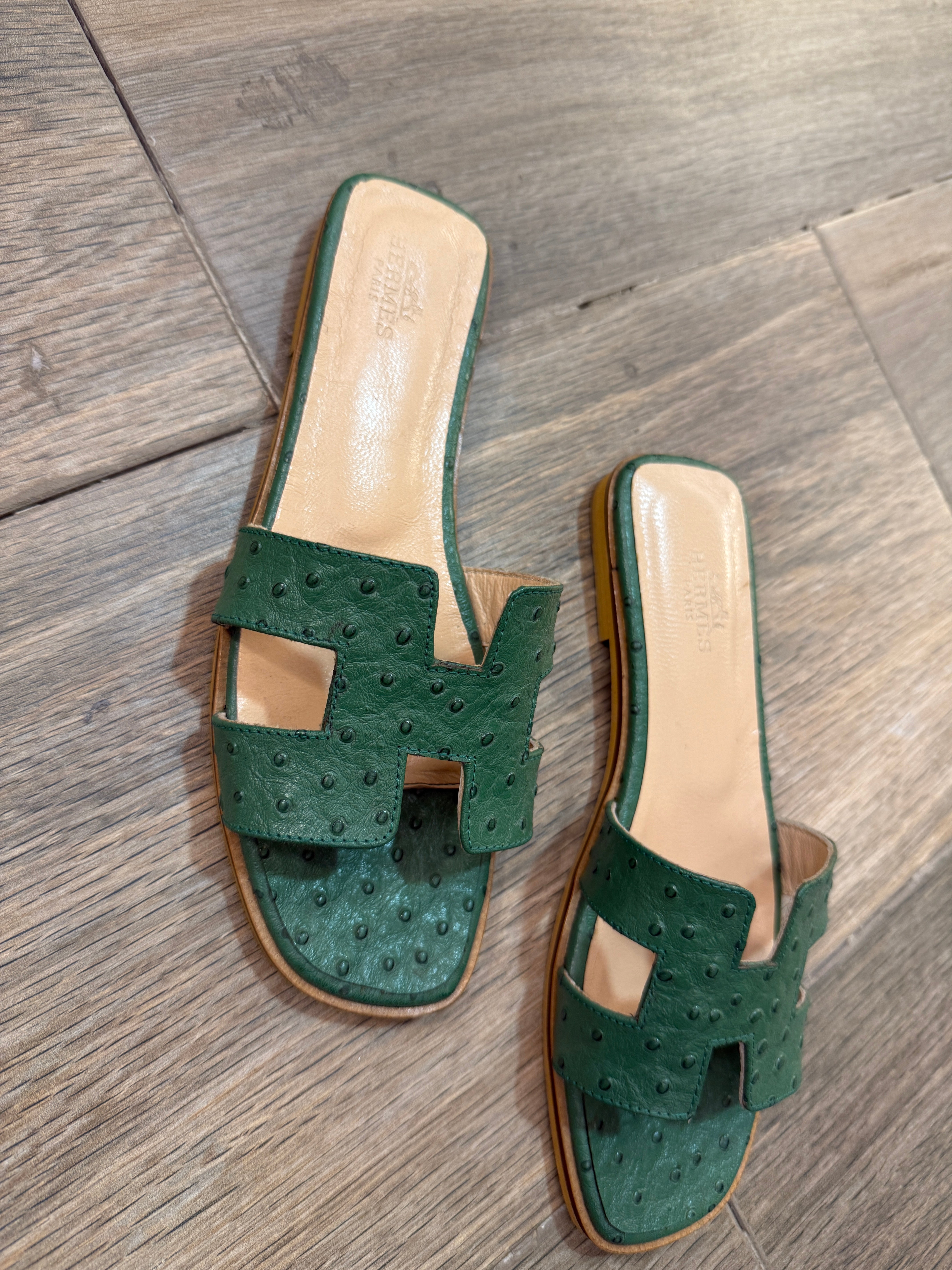 BrandsbyMaya